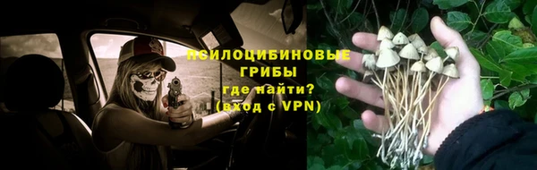синтетический гашиш Алексеевка