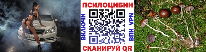 наркошоп Рыбное Галлюциногенные грибы Magic Shrooms